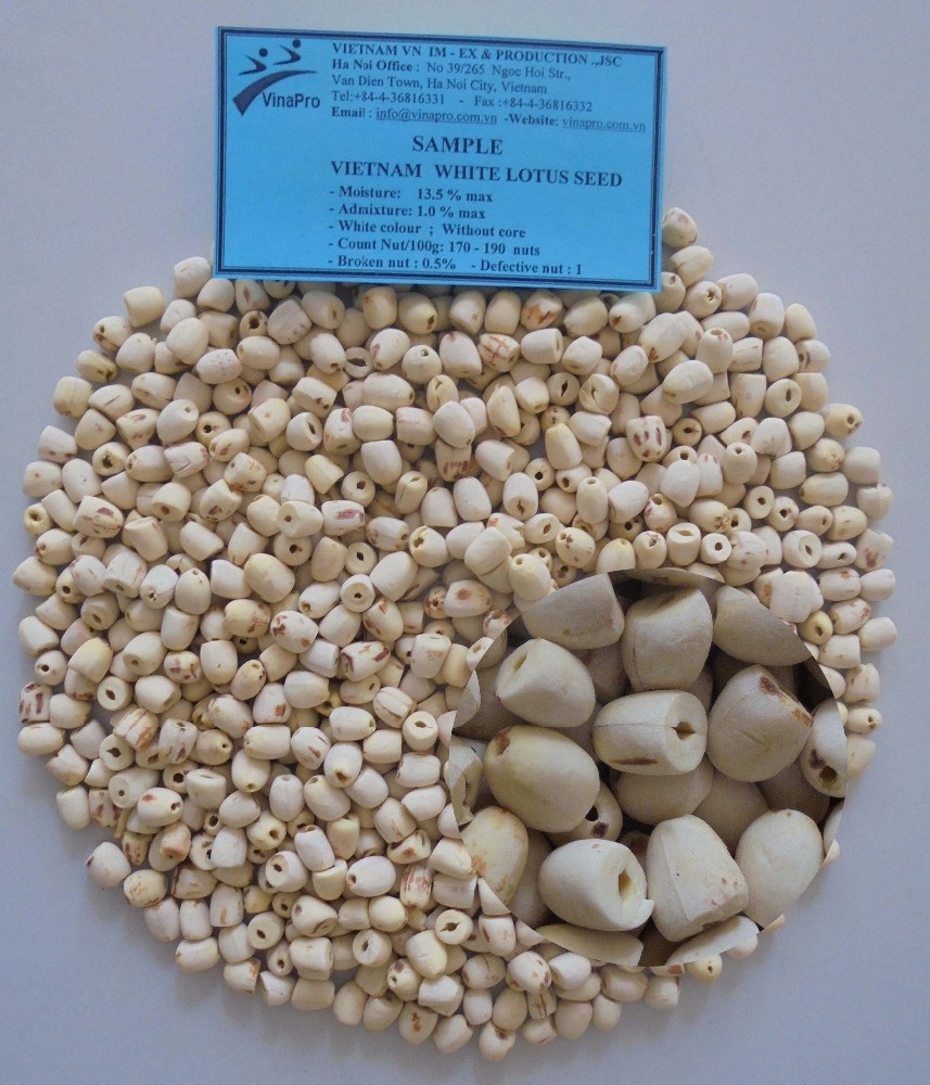 VINAPRO VIETNAM WHITE LOSTUS SEEDS Without core New Crop 2024 Flower Bulbs Seeds & Seedlings