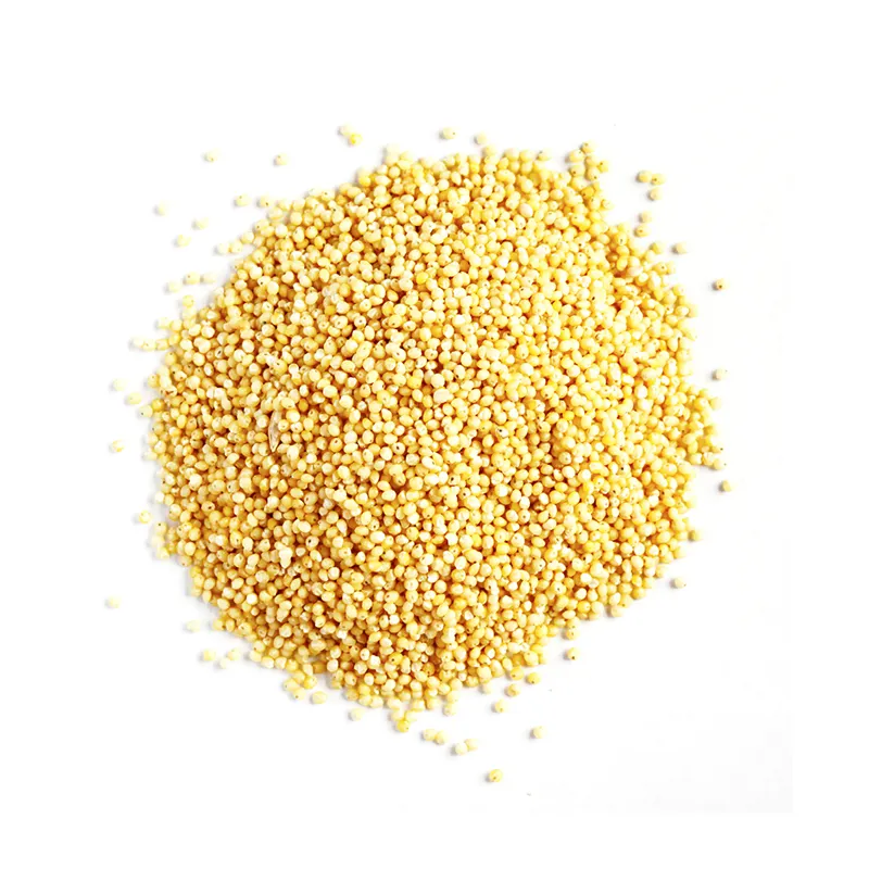 Best Quality Organic Wholesale Millet Seed