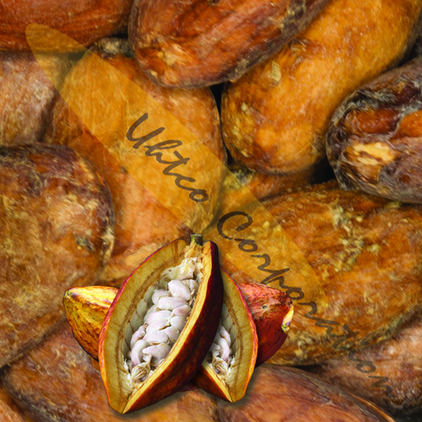 Какао XP Criollo Какао бобы органические