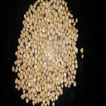 White Maize