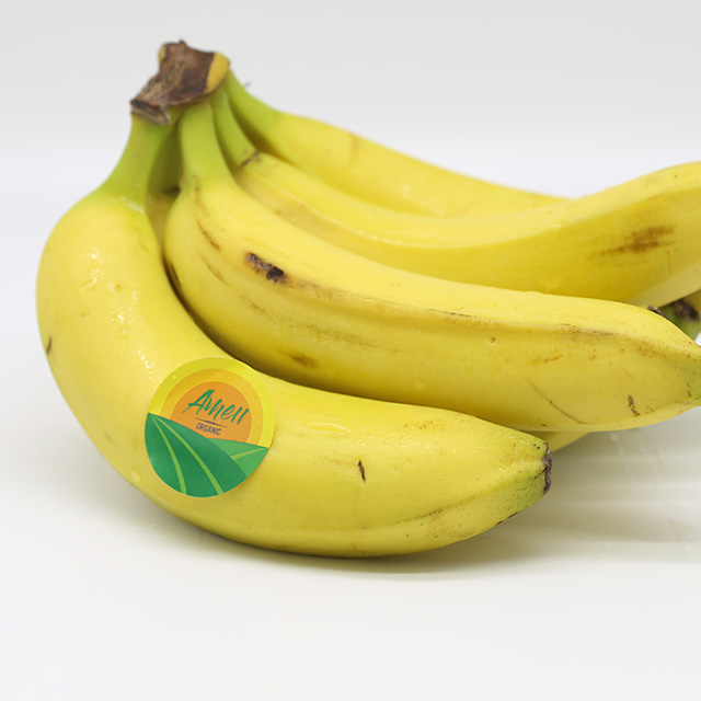 SWEET - FRESH CAVENDISH BANANA FOR EATING