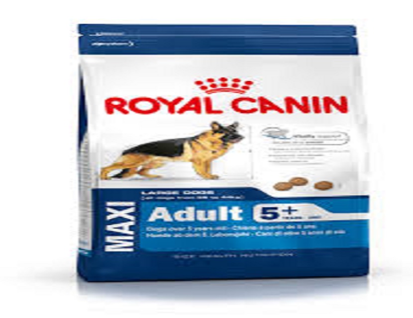 Королевский Canin Макси взрослая собака
