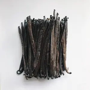 Dried wild oily Vanilla planifolia pods whole Vanilla Beans for spice