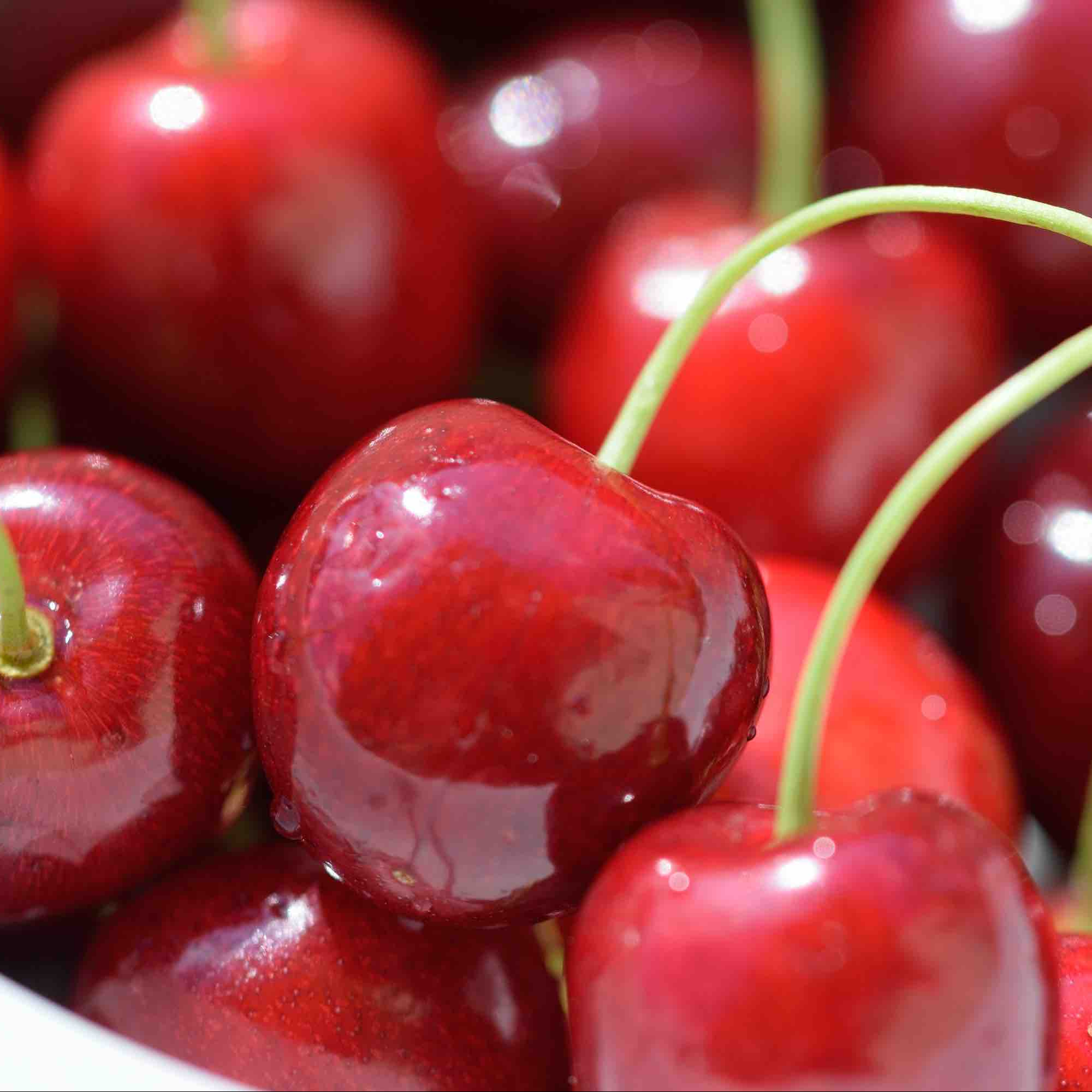 Свежая Вишня