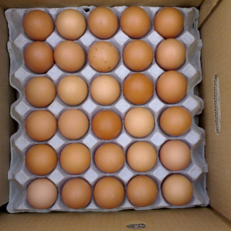 Свежие коричневые и белые настольные яйца на продажу