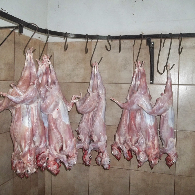 Горячая Распродажа, цена, свежее замороженное цельное мясо кролика/замороженное мясо кролика и запчасти