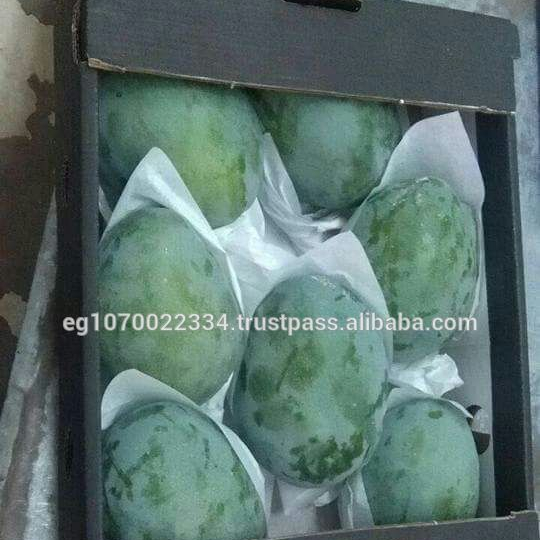 fresh mango fruit ready to export to Sudan