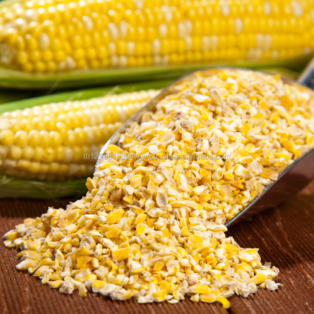 GOOD Yellow Corn For Human Consumption