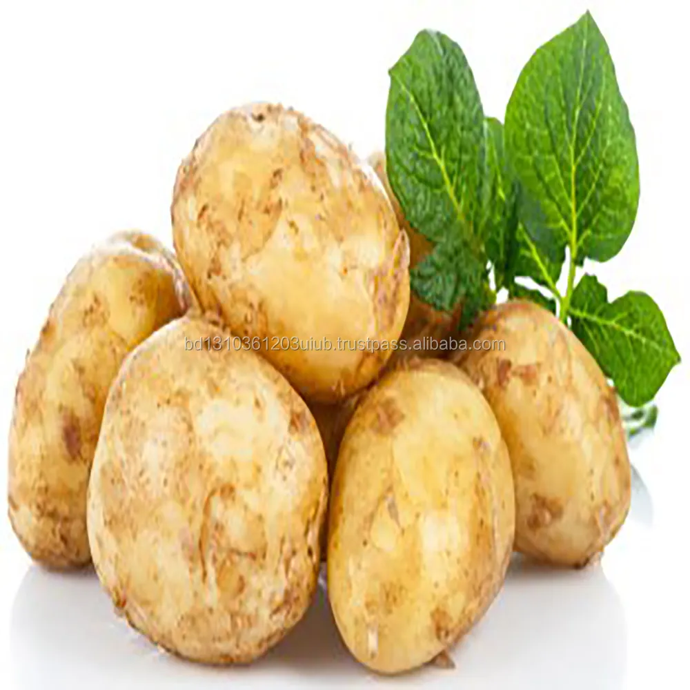 Farm Fresh Organic Potato From Bangladesh