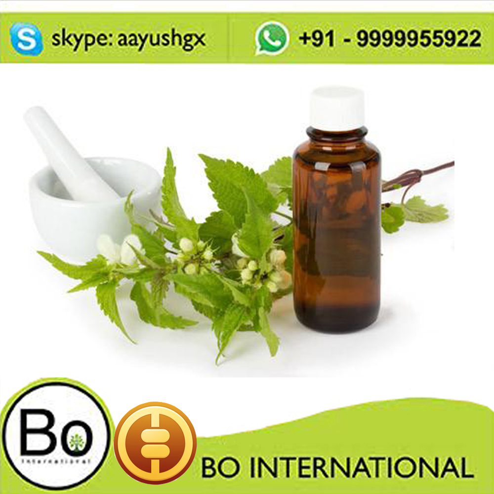 Pure natural high Quality Nettle leaf extract nettle oil with premium quality