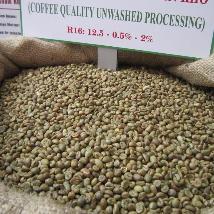 Вьетнамский поставщик, оптовая продажа, кофе в зернах Robusta 0084971054925