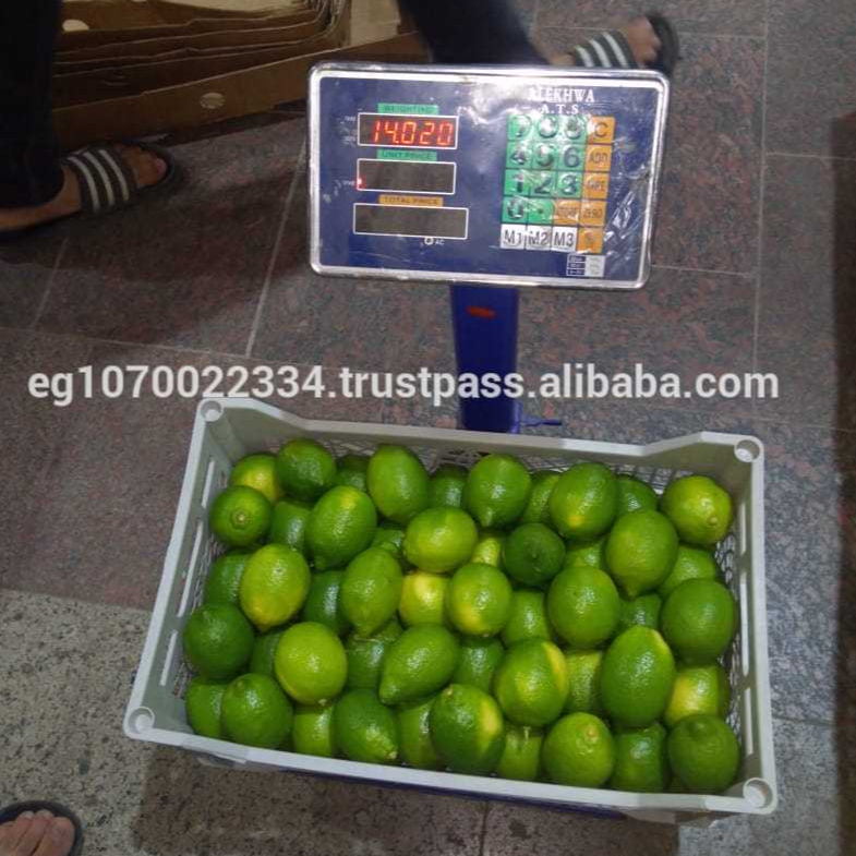 Fresh seedless lime