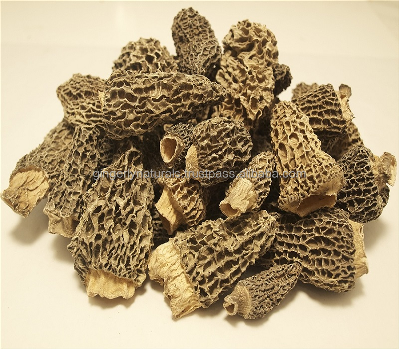 Morels in Bulk for Sale