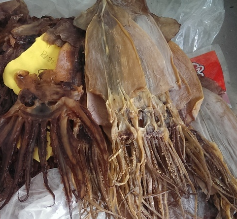 Сушеные и замороженные морские слепки