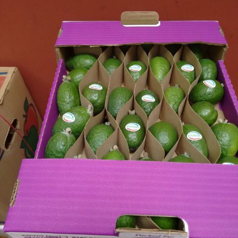 Feijoa (гувастин)