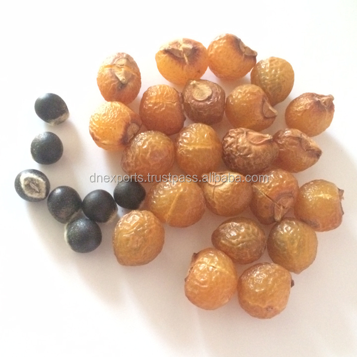 Natural wild crafted hand processed soapnut shell / Natural wild crafted hand processed Soapnuts shell