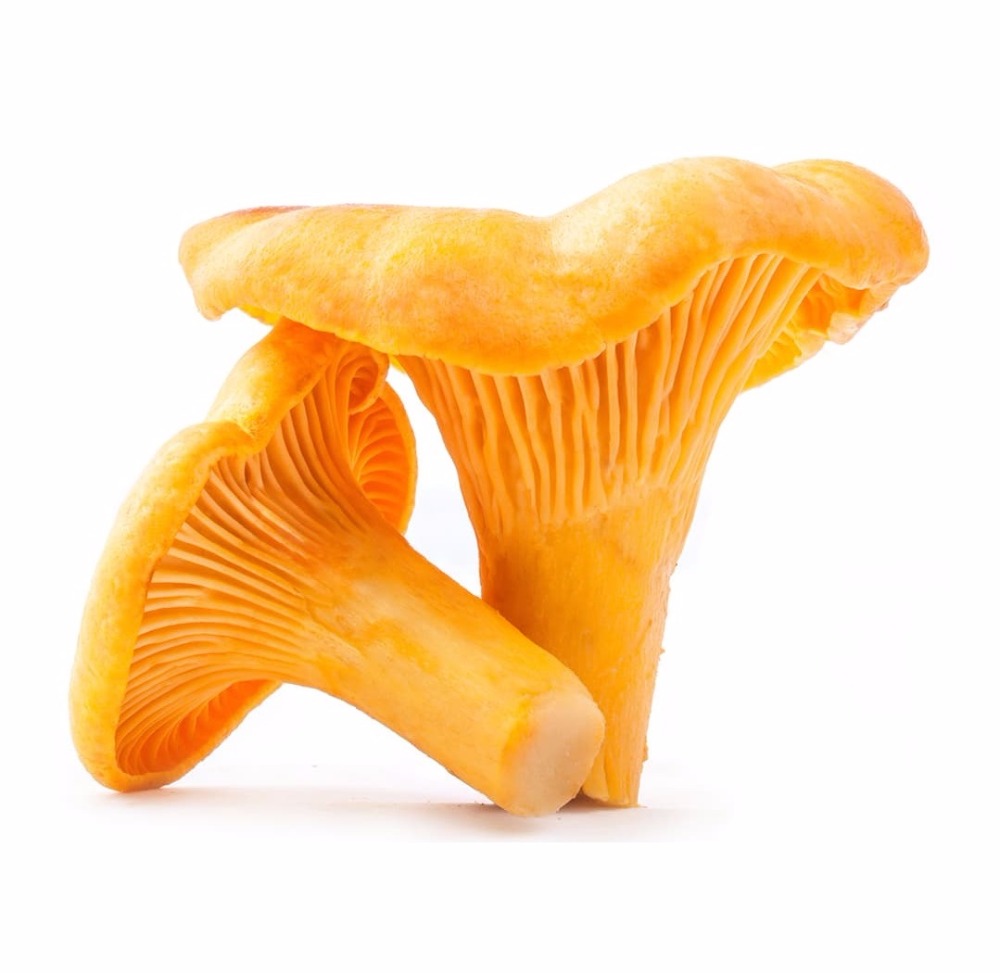 Сушеный гриб Chanterelle, высокое качество дикого выращивания, добавки, анти-рак, натуральное, пищевое сырье