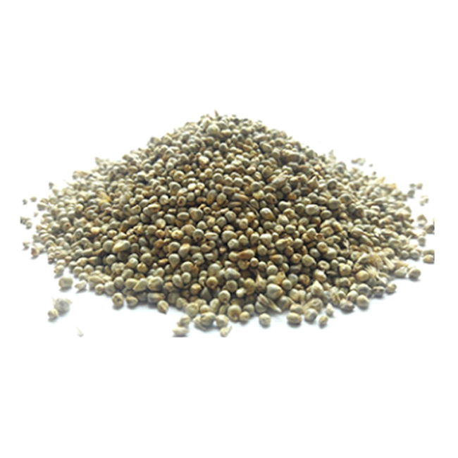 Naturally Processed Indian Green Millet for Birds