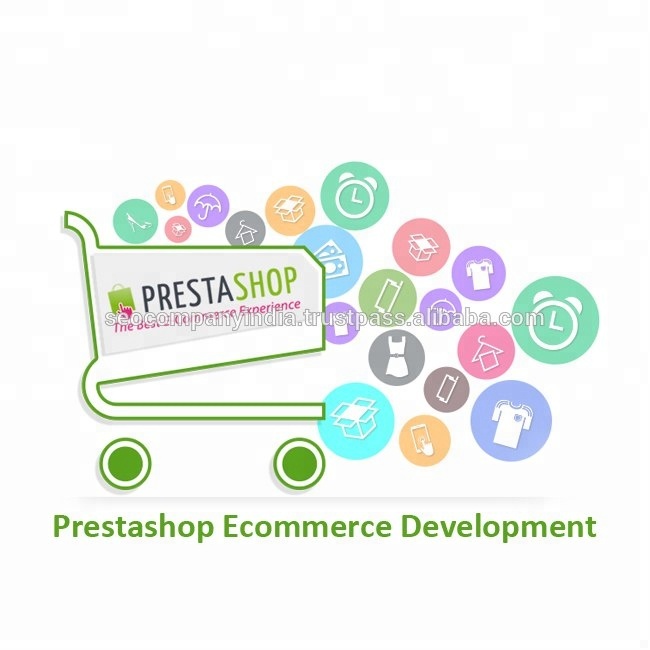 Online Website Promotion From India