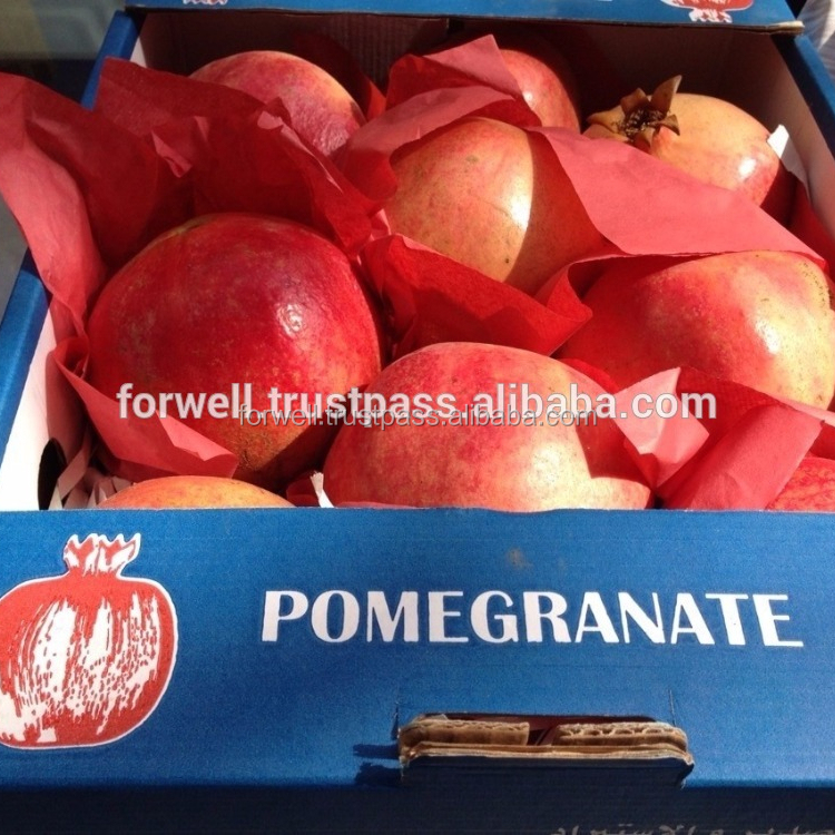Fresh and IQF Frozen Pomegranates in Egypt