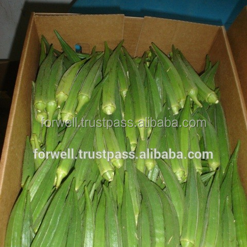 Fresh (Baladi , ledy finger ) okra
