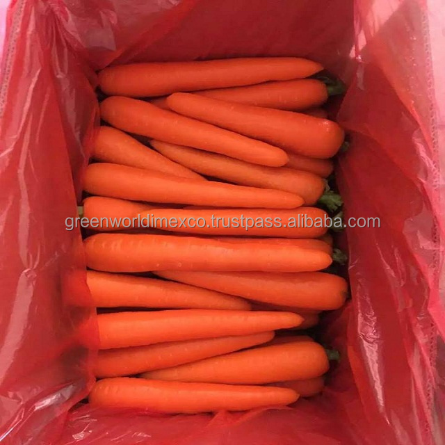 Fresh Carrot with Premium Quality