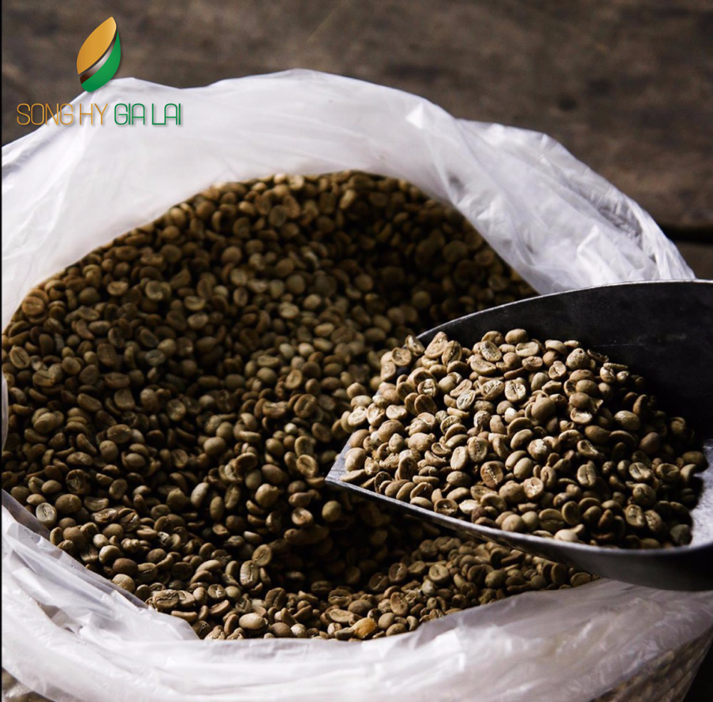 Сушеные кофейные зерна ROBUSTA (экран 1 класса 18)