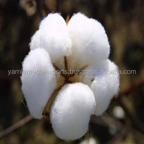 RAW COTTON - DCH32 Manufactured in India