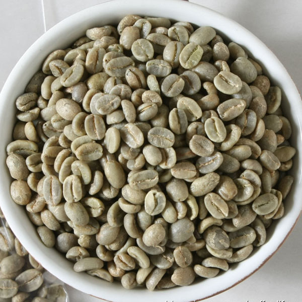 ROBUSTA COFFEE BEAN FROM VIETNAM