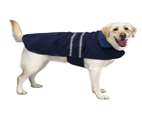 Dog Coat water resistant Kanpur INDIA