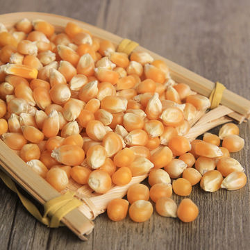 Желтая Кукуруза