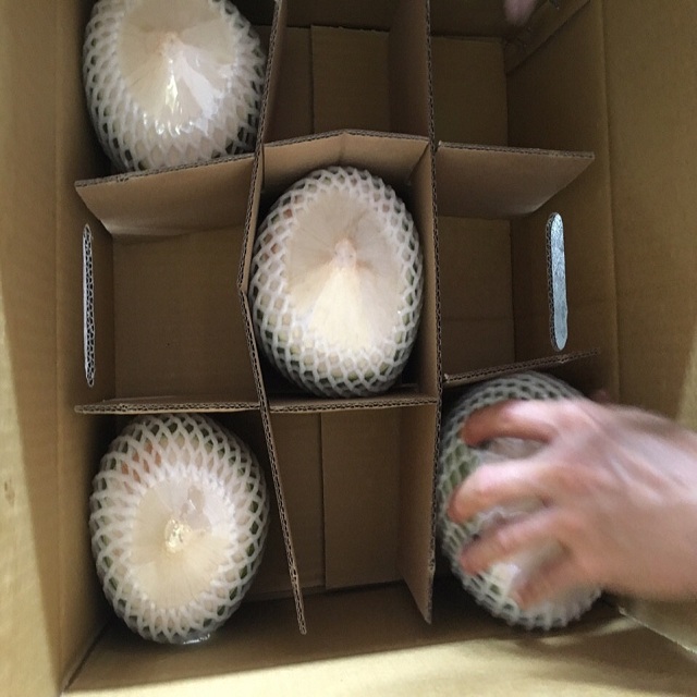 dragon fruit product, hight quality for export