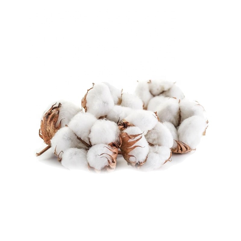 ISO Certified 100% Cotton Fabric Exporter from India