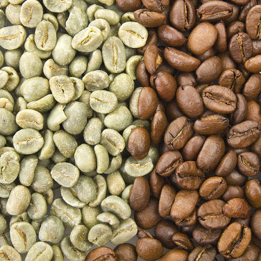 Зеленые кофейные зерна Robusta по хорошей цене от производителя
