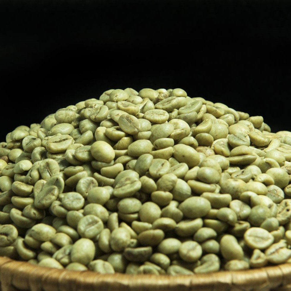 Вьетнам производитель ROBUSTA кофе в зернах 0084974565715