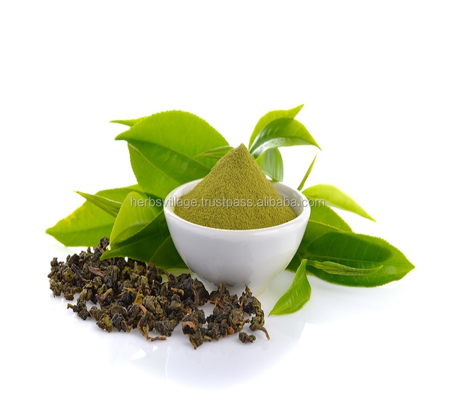 100% Natural Organic Green Tea Extract Powder