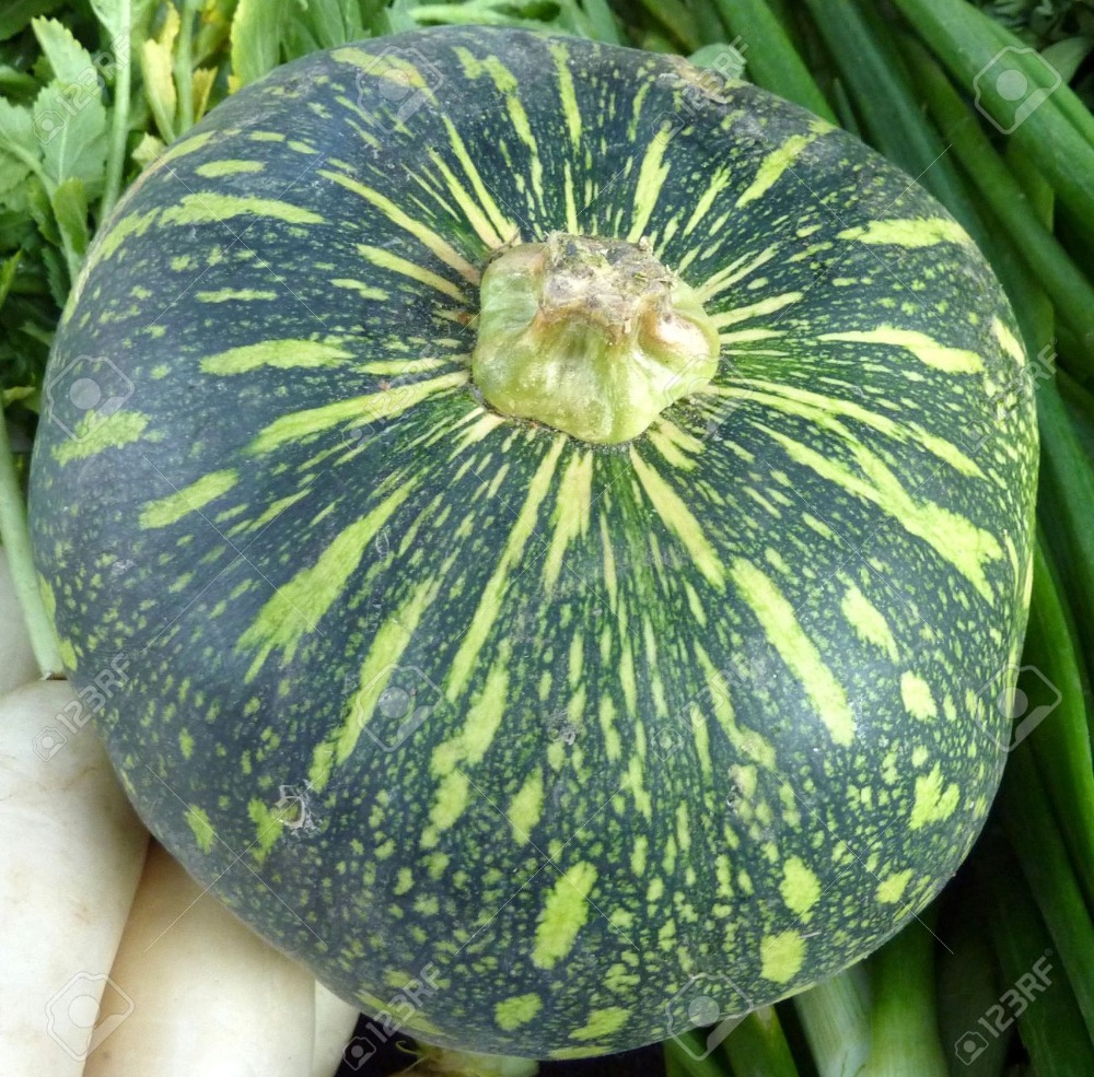 Fresh Pumpkin Lower price