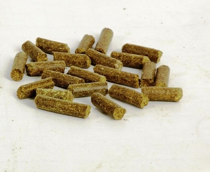 Органический корм для рыбы Moringa Oleifera