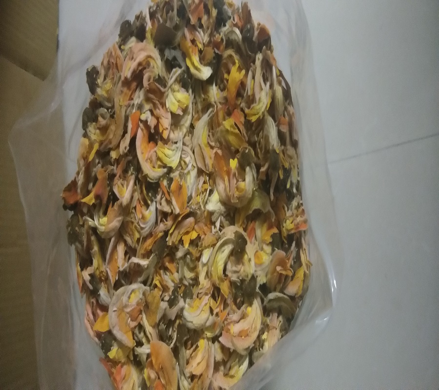 Сушеные цветы Butea Monosperma