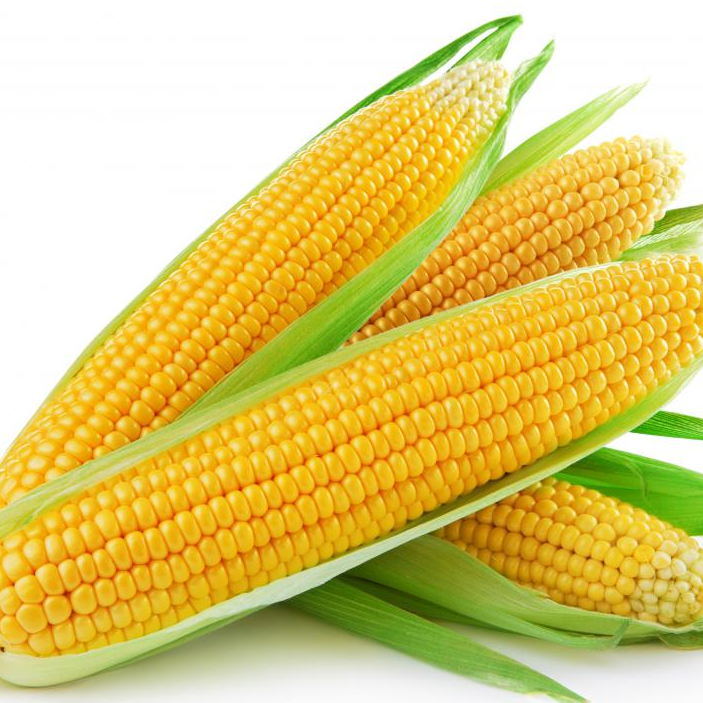 Кукуруза желтой кукурузы продукт из Таиланда