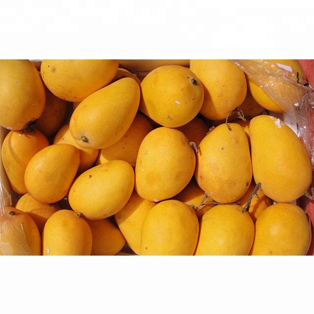 Оптовая продажа, свежее манго из Индии/Alphonso, манго, целлюлоза
