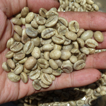 raw coffee beans best rate (Whatsapp 0084971054925)