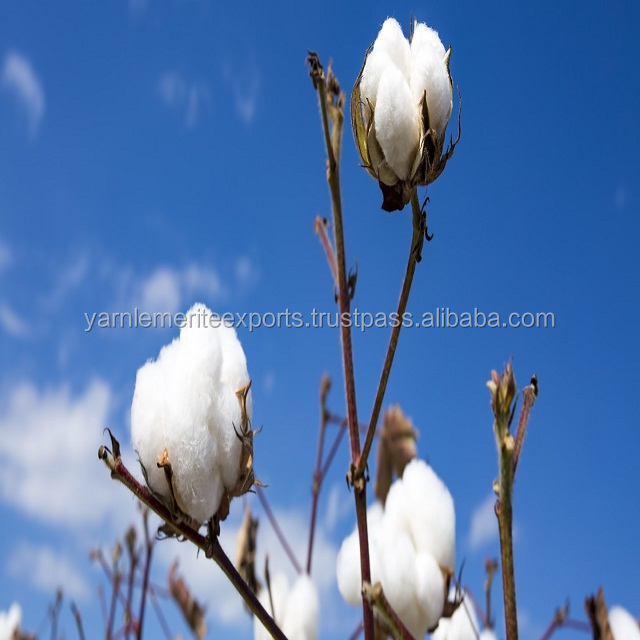 pure cotton