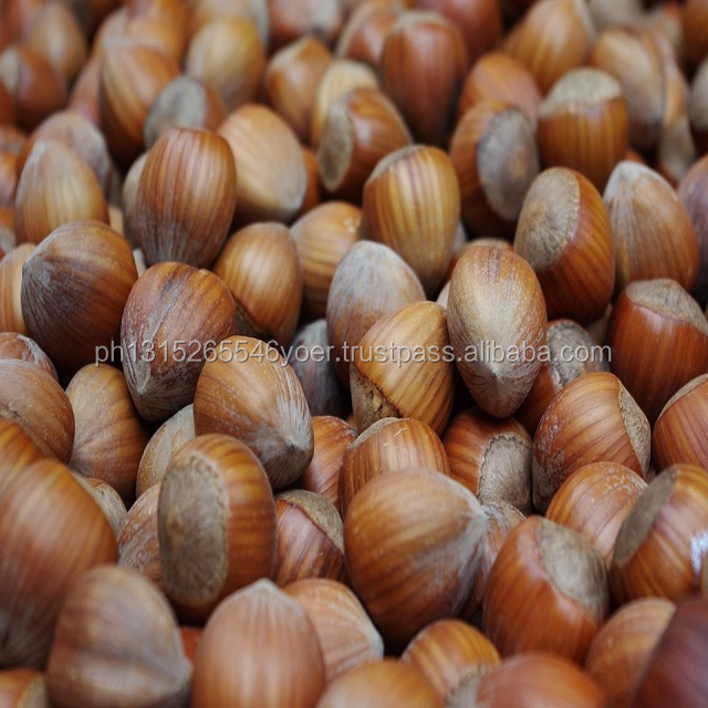 Hazel Nuts/Hazelnuts/peeled hazelnuts