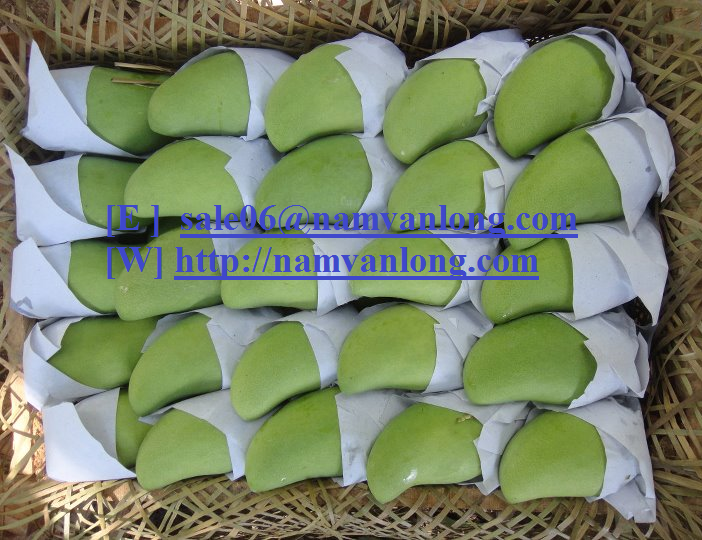 Бесплатный образец свежего кота CHU манго (TREAT VHT) для корейского рынка