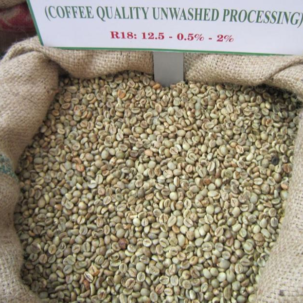 VIETNAM ROBUSTA COFFEE BEAN CLEANED WET POLISHED CF14 0084971054925
