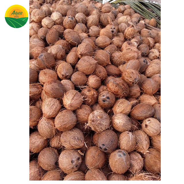 Лучшая цена в сезоне SEMI-HUSK COCONUT из Вьетнама
