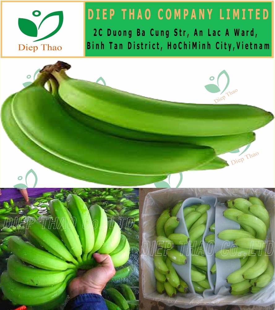 GREEN CAVENDISH BANANA HIGH QUALITY_BEST PRICE