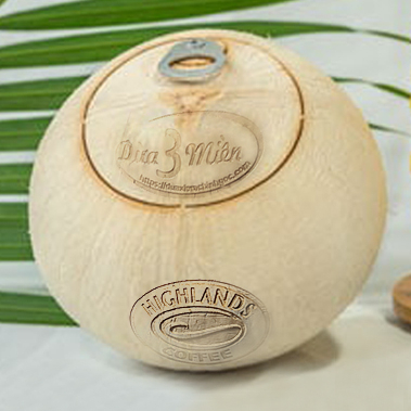 VIETNAM GREEN YOUNG FRESH COCONUT FOR EXPORT (WHATSAPP +84 845 639 639)