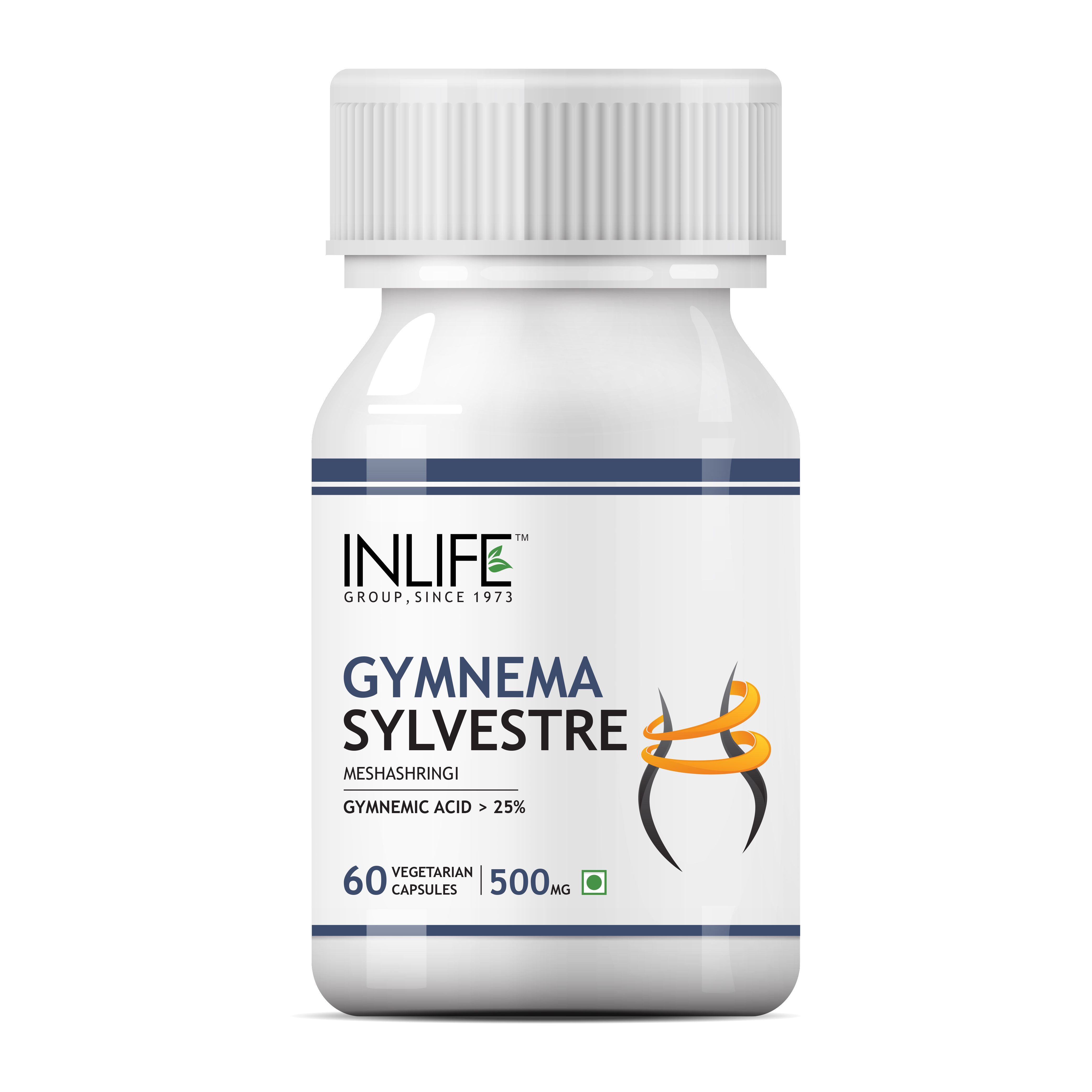 High Quality Gymnema Sylvestre Vegetarian Capsules GMP Certified